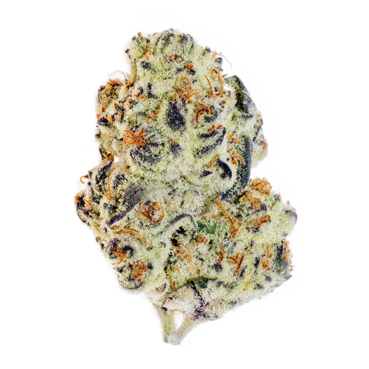 Alpha Runtz THCa Flower (Indoor)