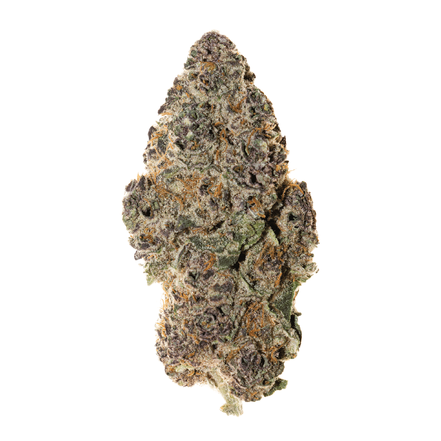 Butterberry THCa Flower (Indoor)