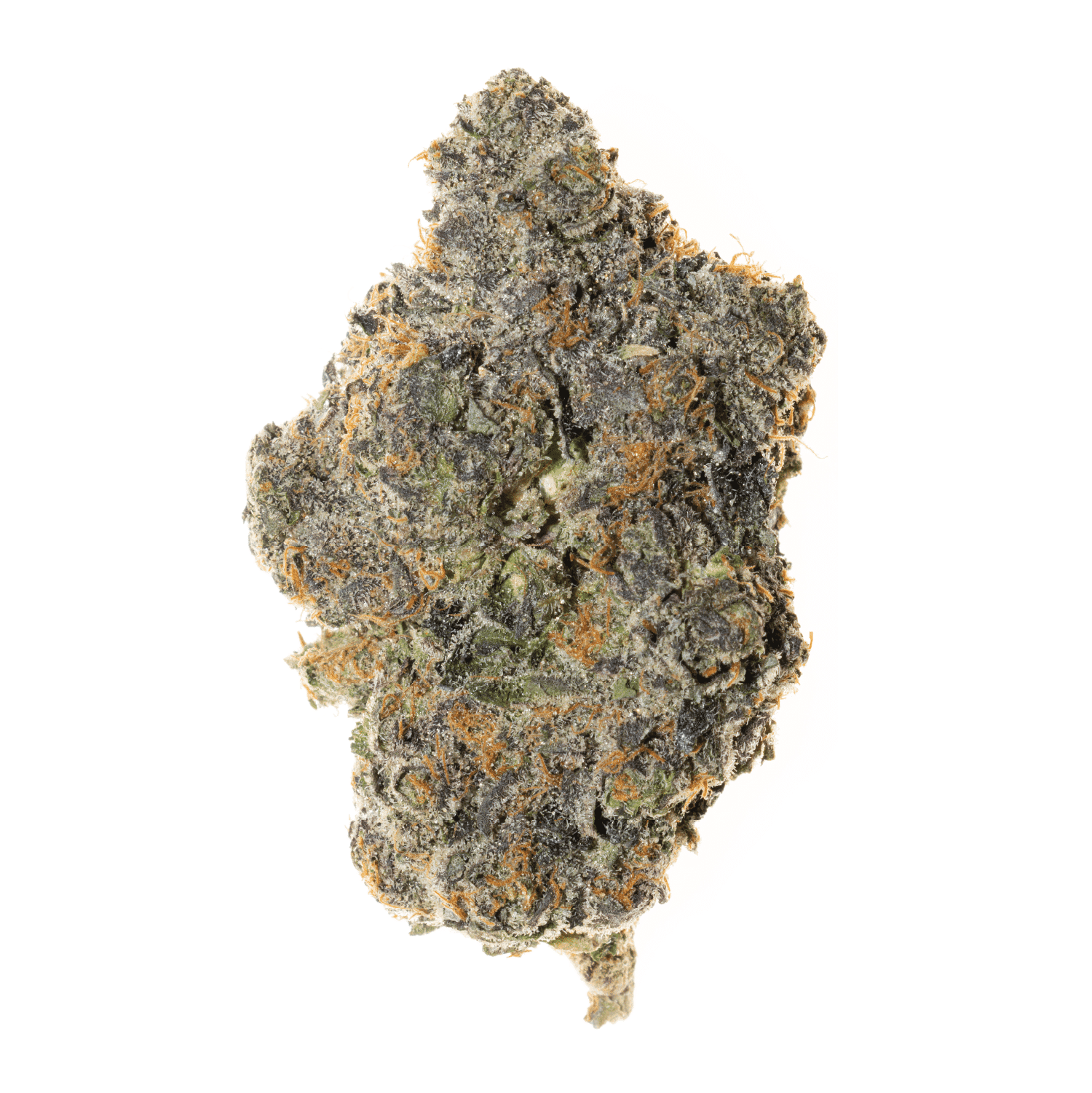 Papaya x Gelato THCa Flower (Indoor)