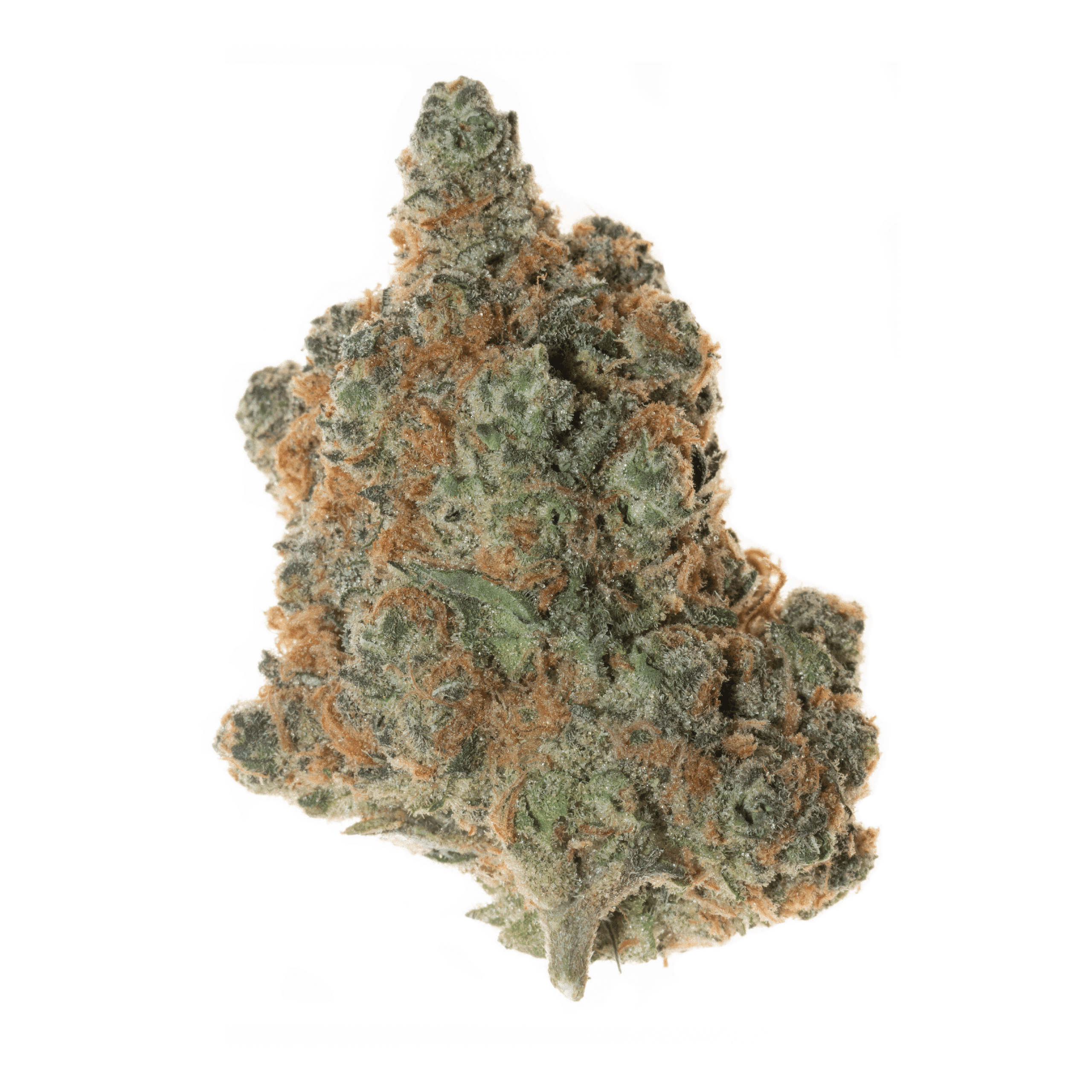 Specimen X THCa Flower (Indoor)