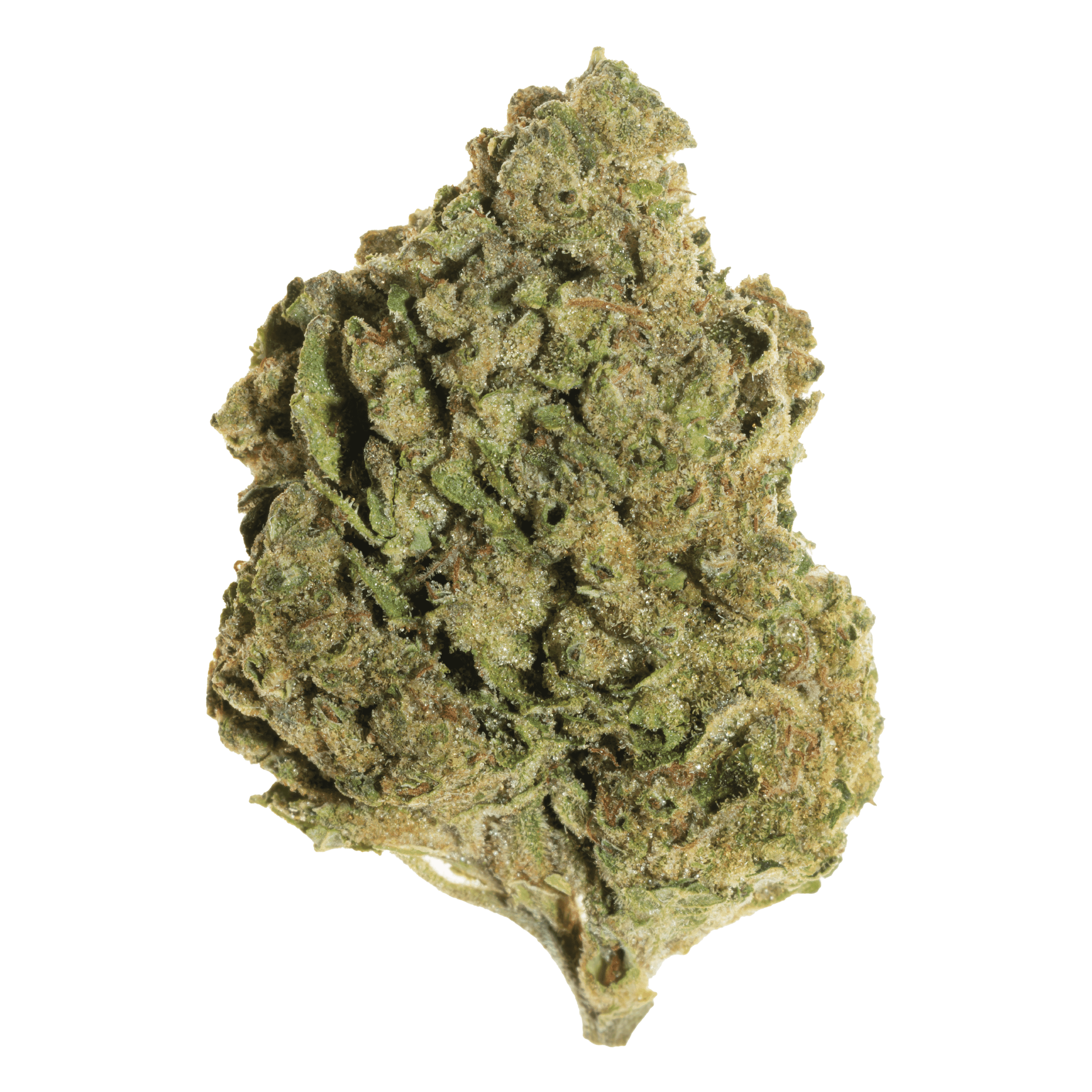 Chemdog 91 x Girl Scout Cookies THCa Flower (Light Assist)