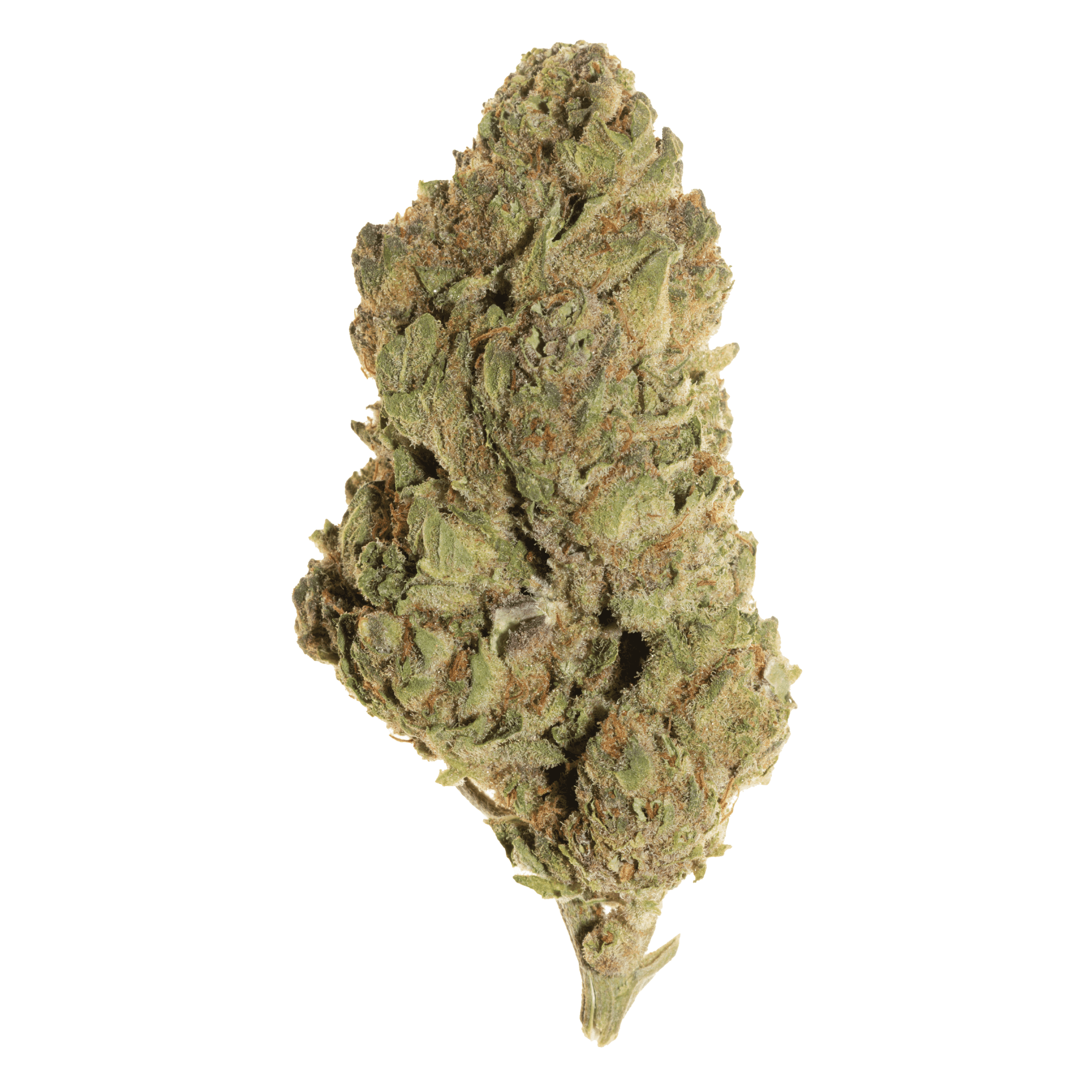 Tropicana Cherry THCa Flower (Light Assist)