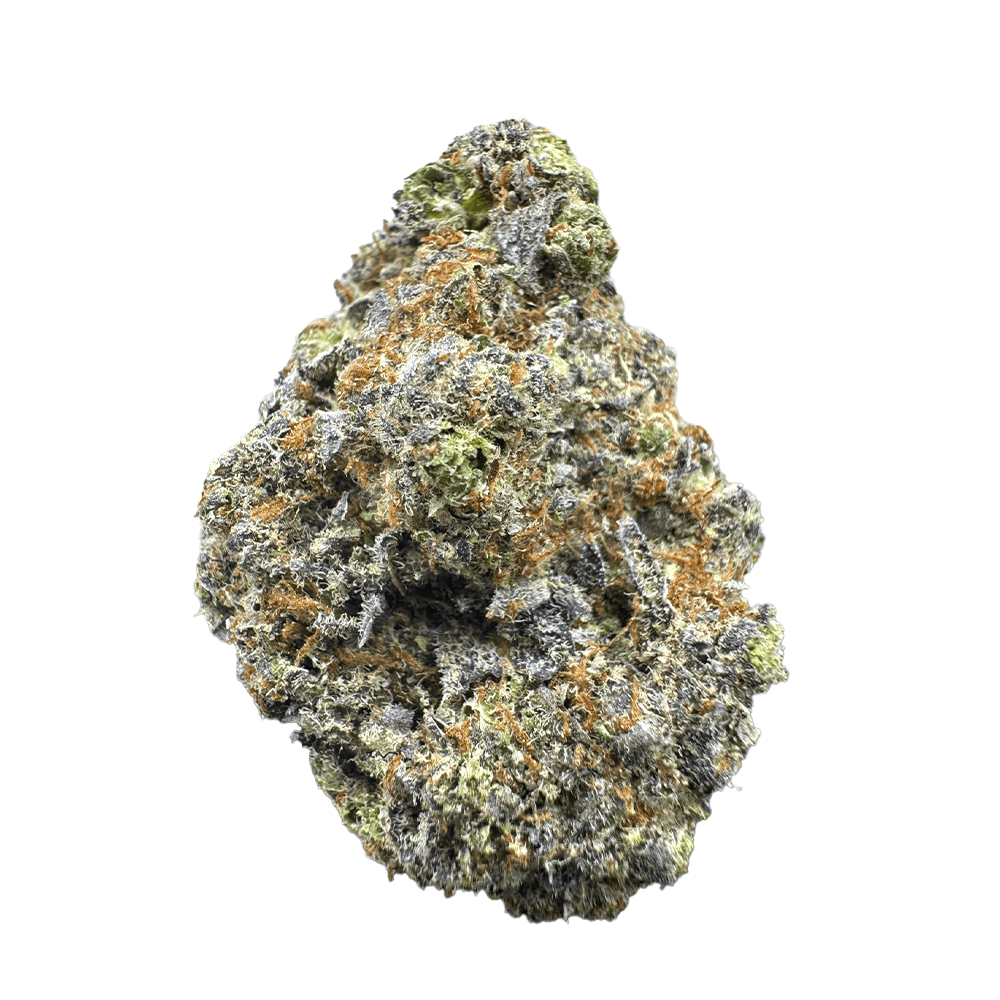 High THCa Blackberry Kush – 28g