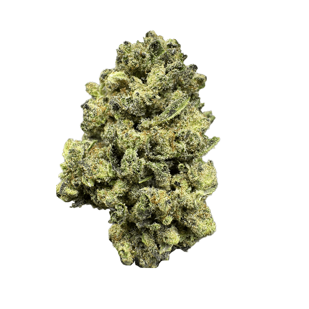 High THCa Gary Payton – Light Dep – 28g