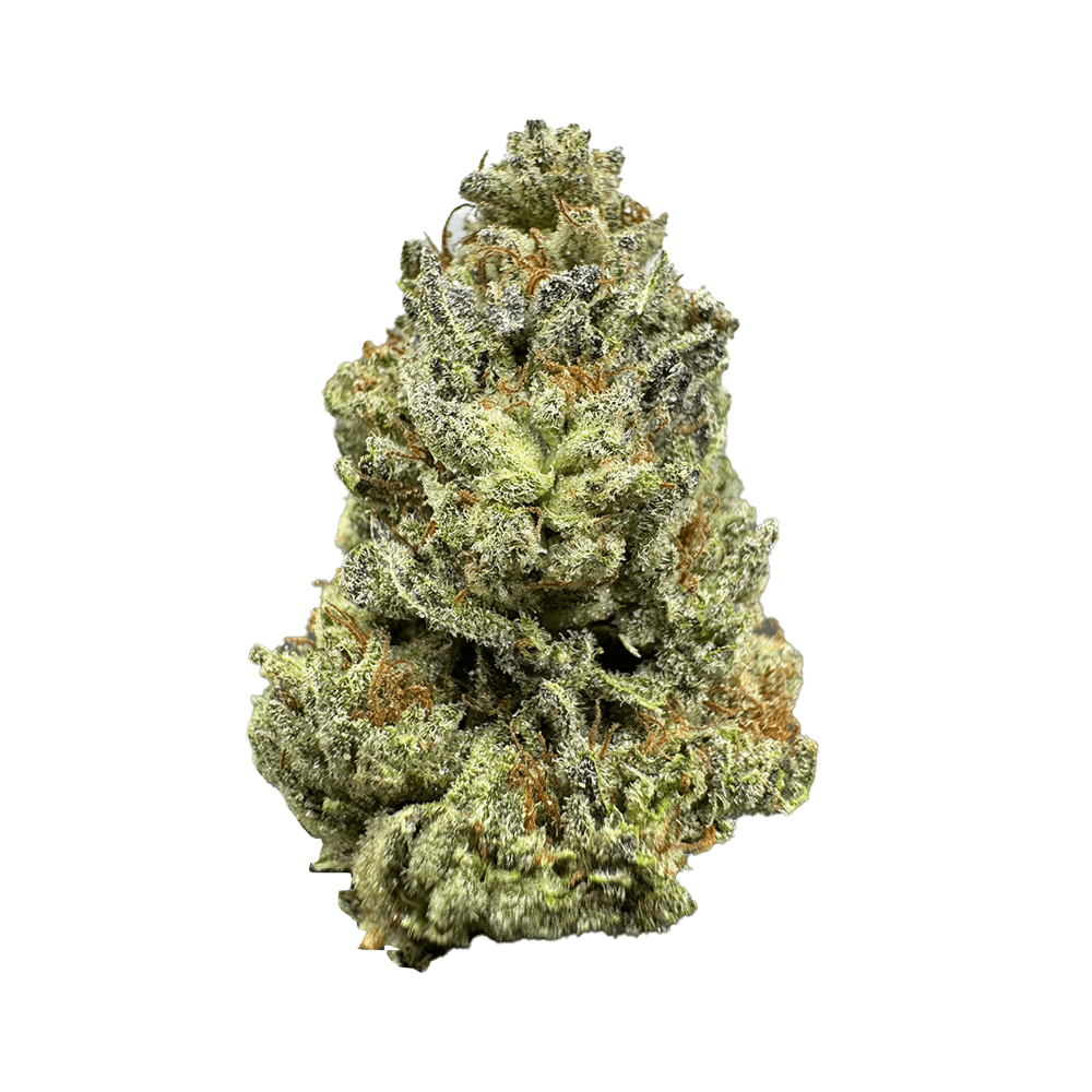 High THCa Gelato Blizzard – Light Dep – 28g