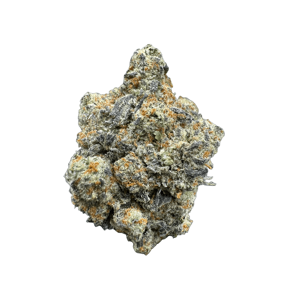 High THCa Sugar Biscuit