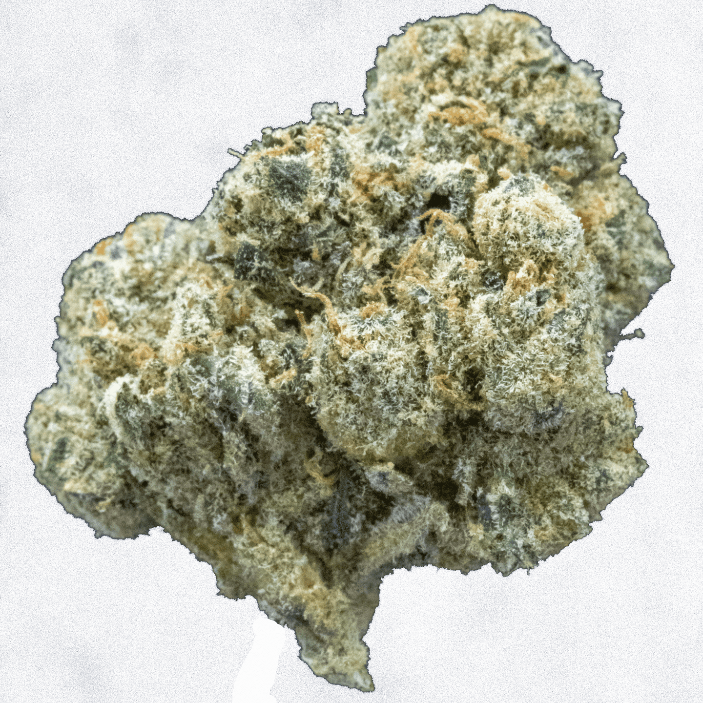 Galactic ICEE
