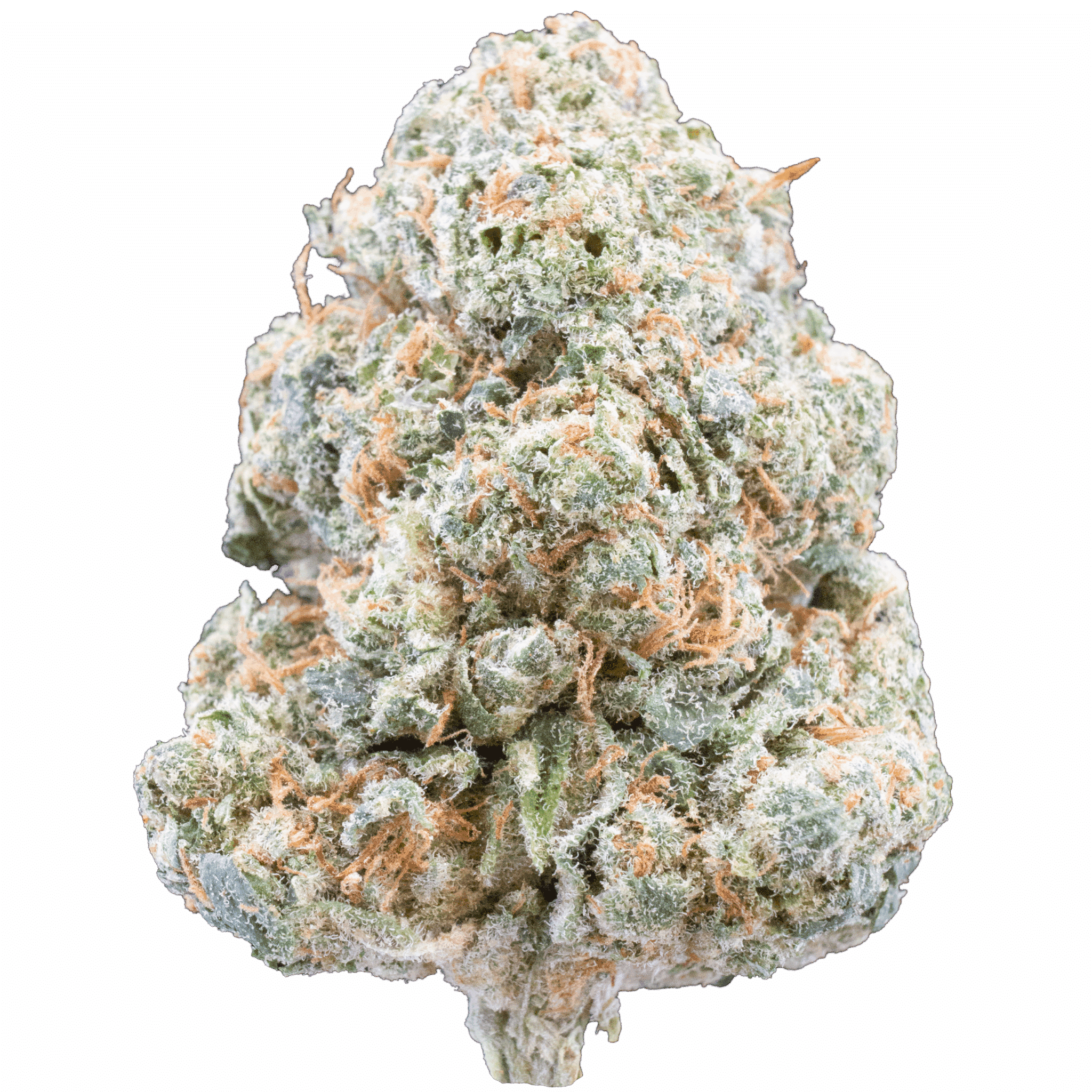 Berry Dabba Doo