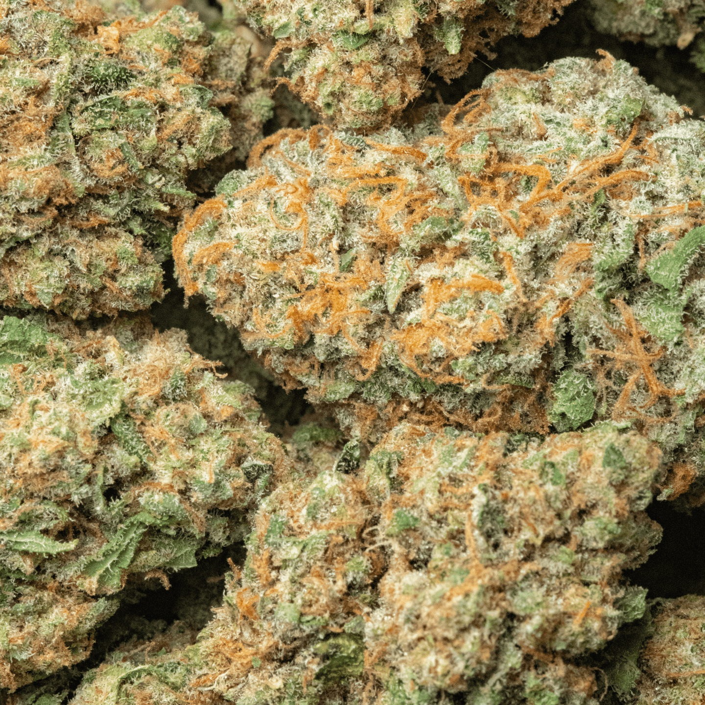 Critical Berries