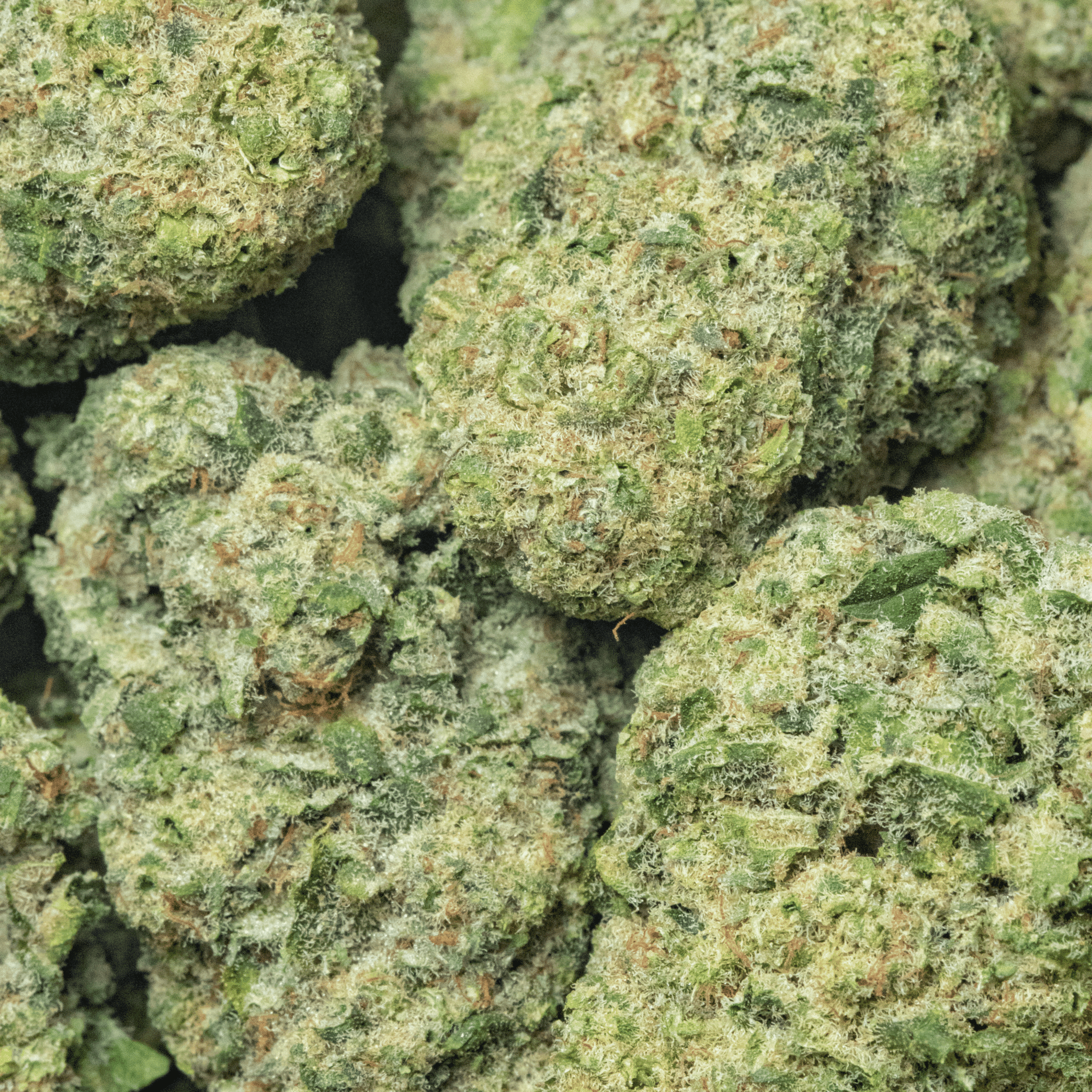 Sour Bomb Pop