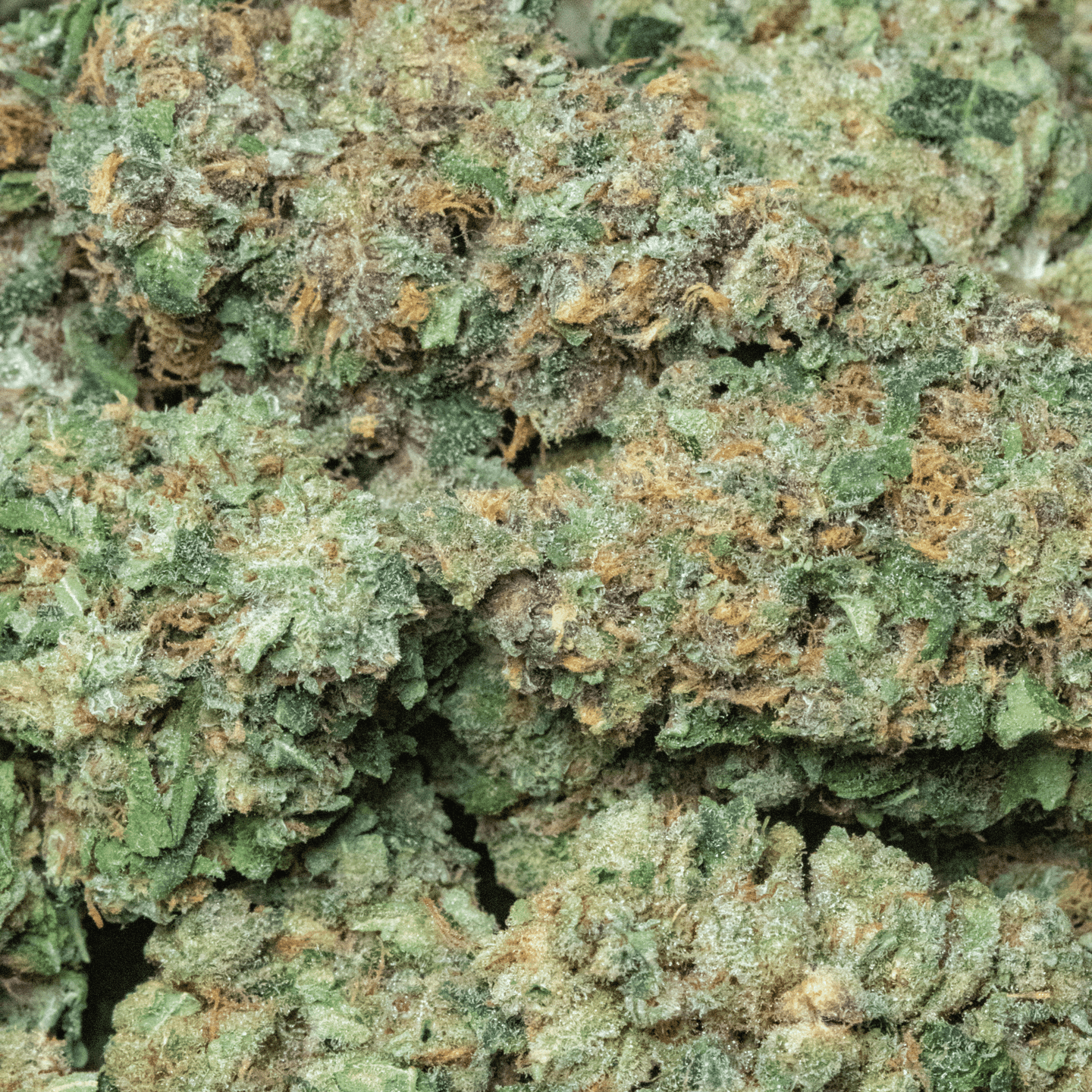 Bubba Truffle