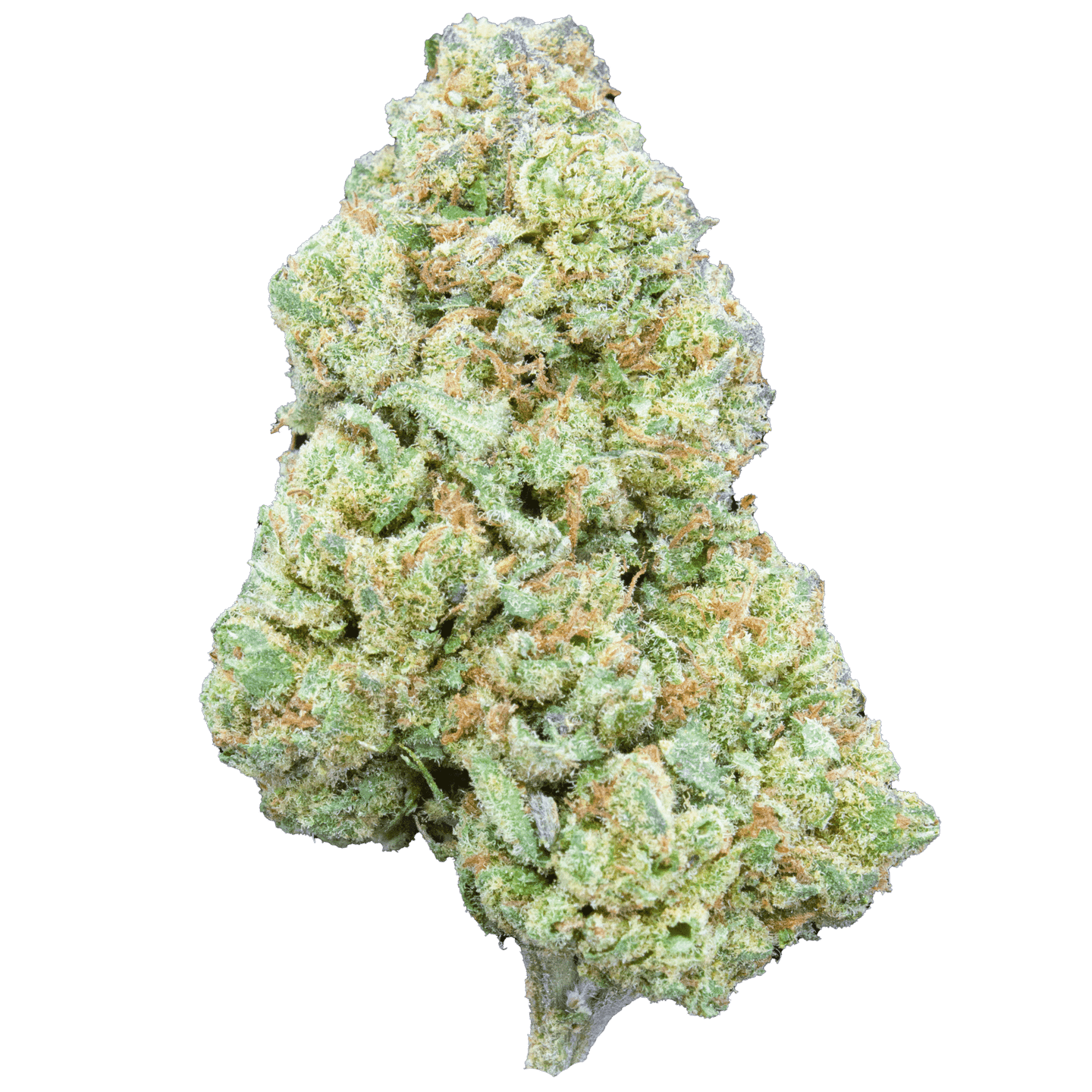 Blueberry