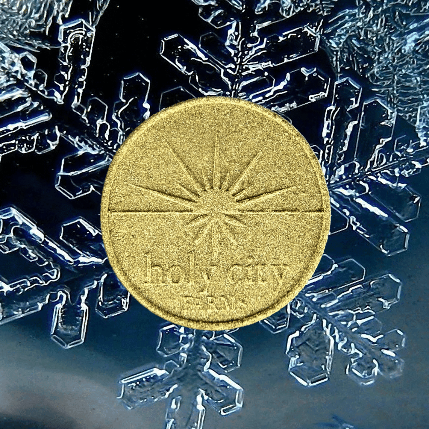 Ice Capades Sift Puck