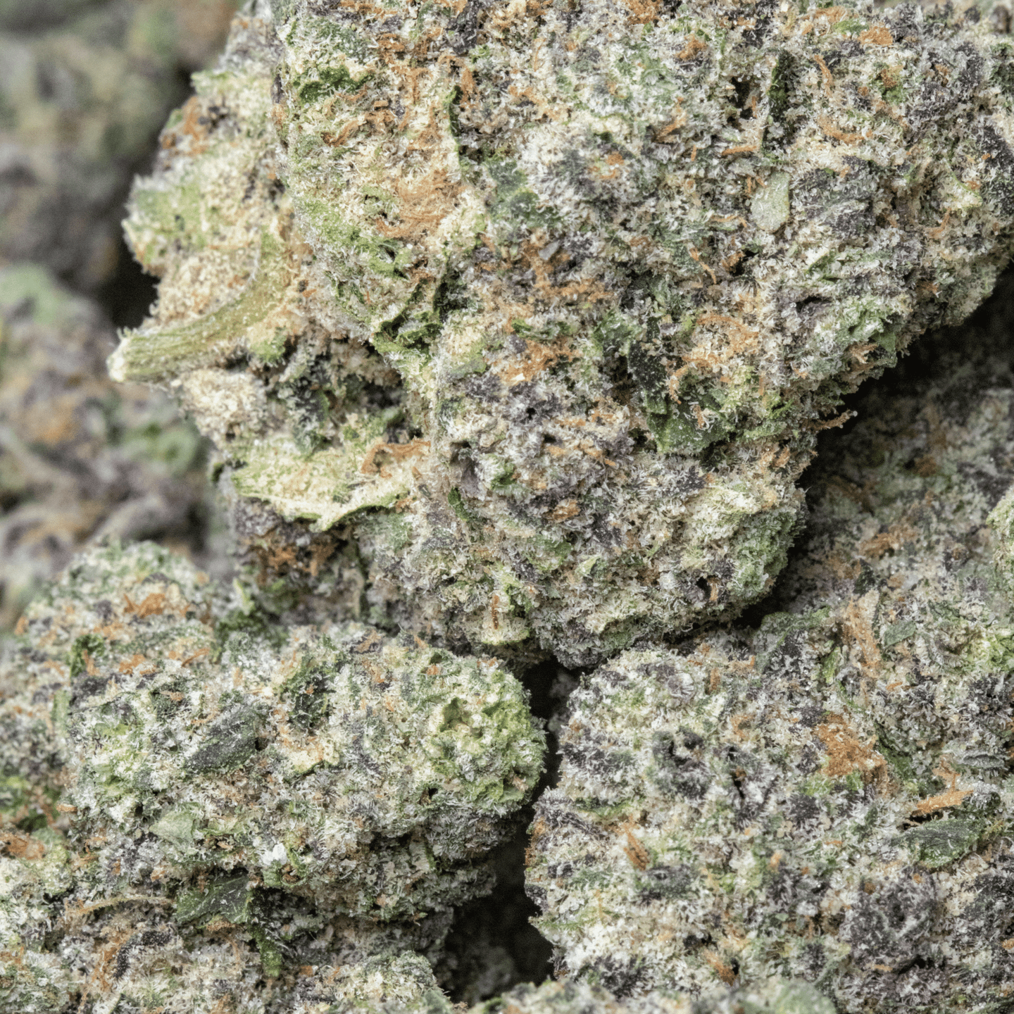 Berries and Cream