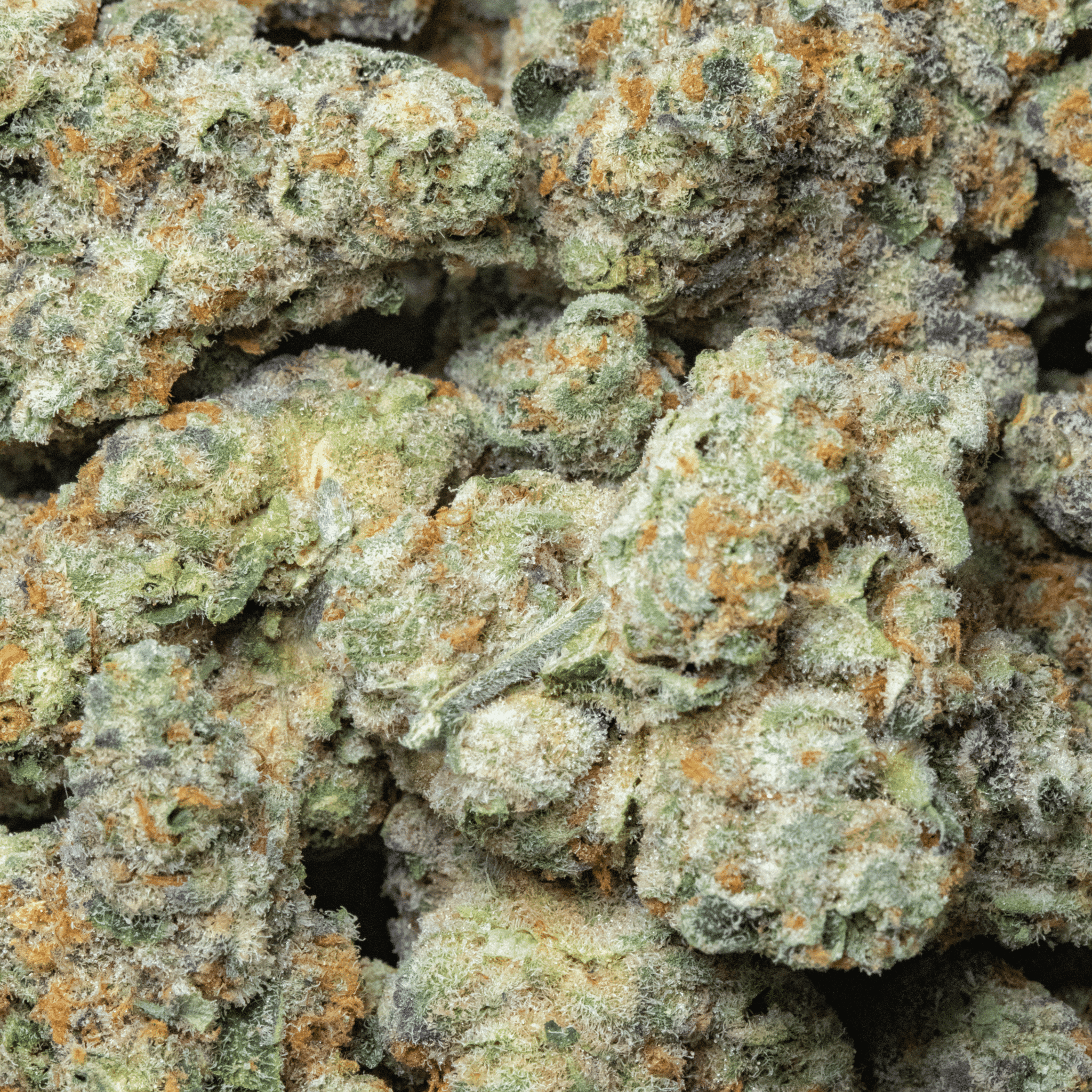 Blueberry Pound Cake