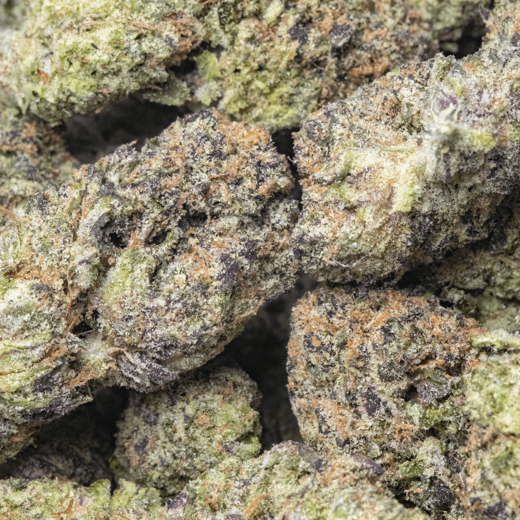 Hash Burger