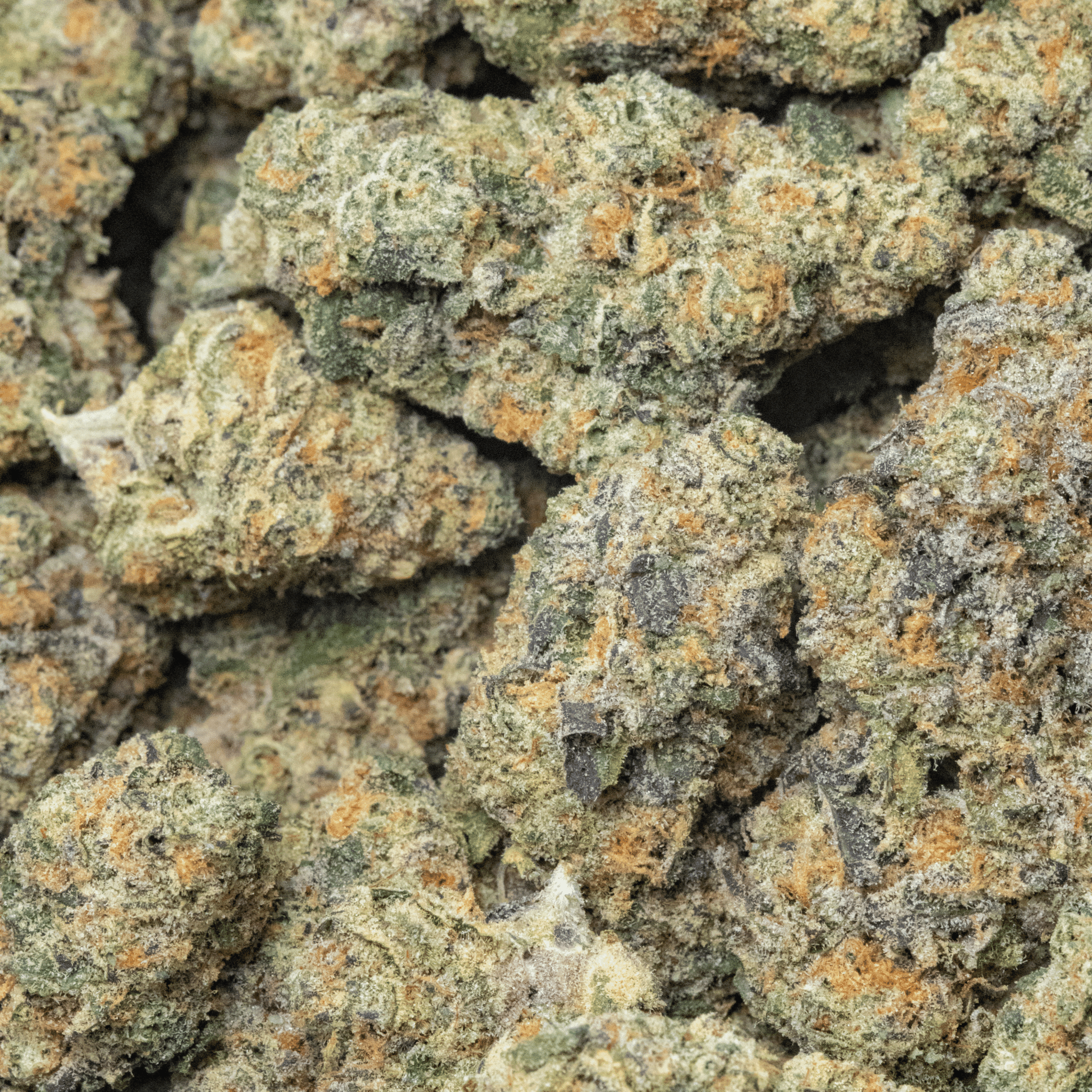 Mendo Creme