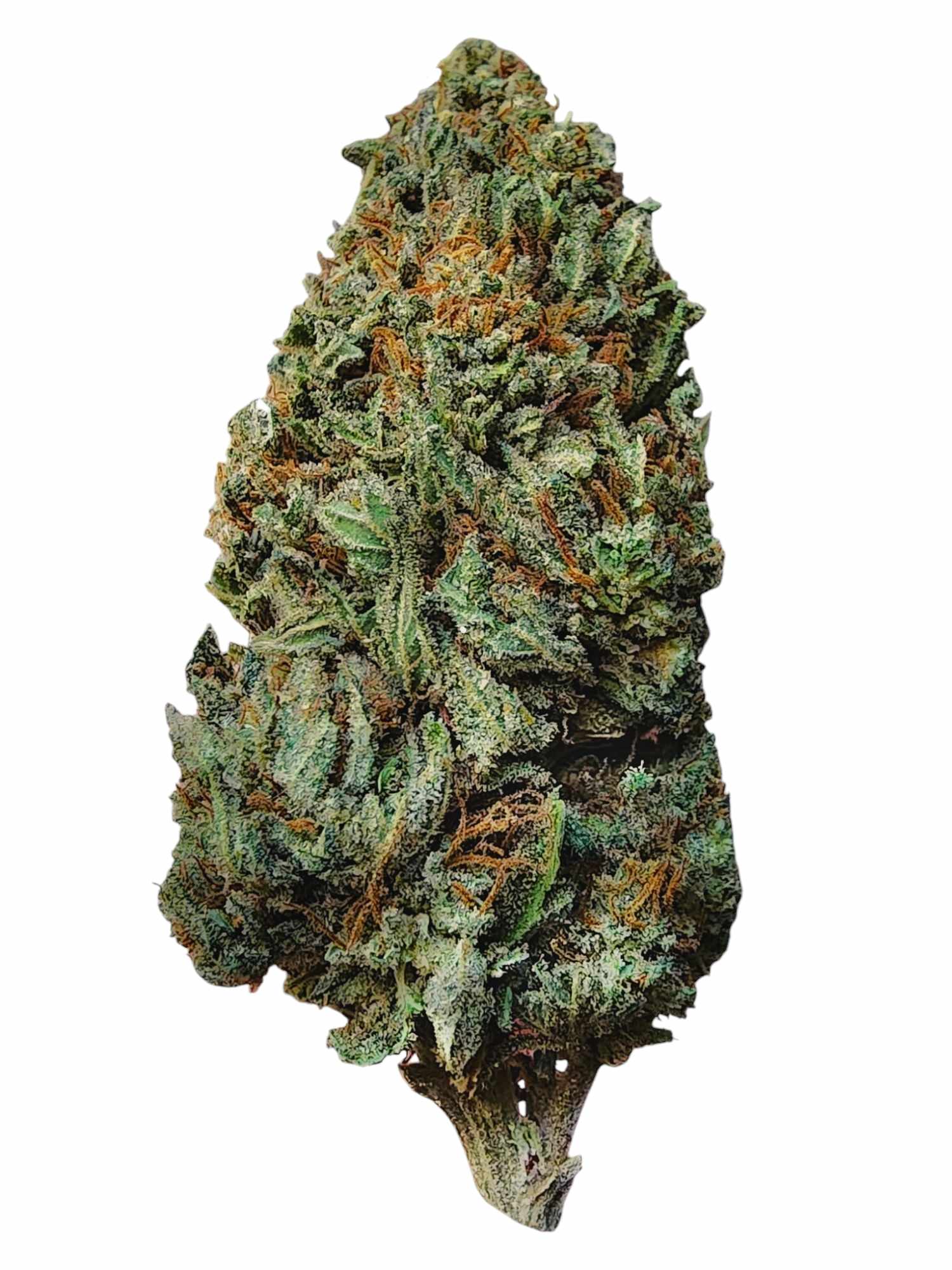 Miracle Lemon Cookie