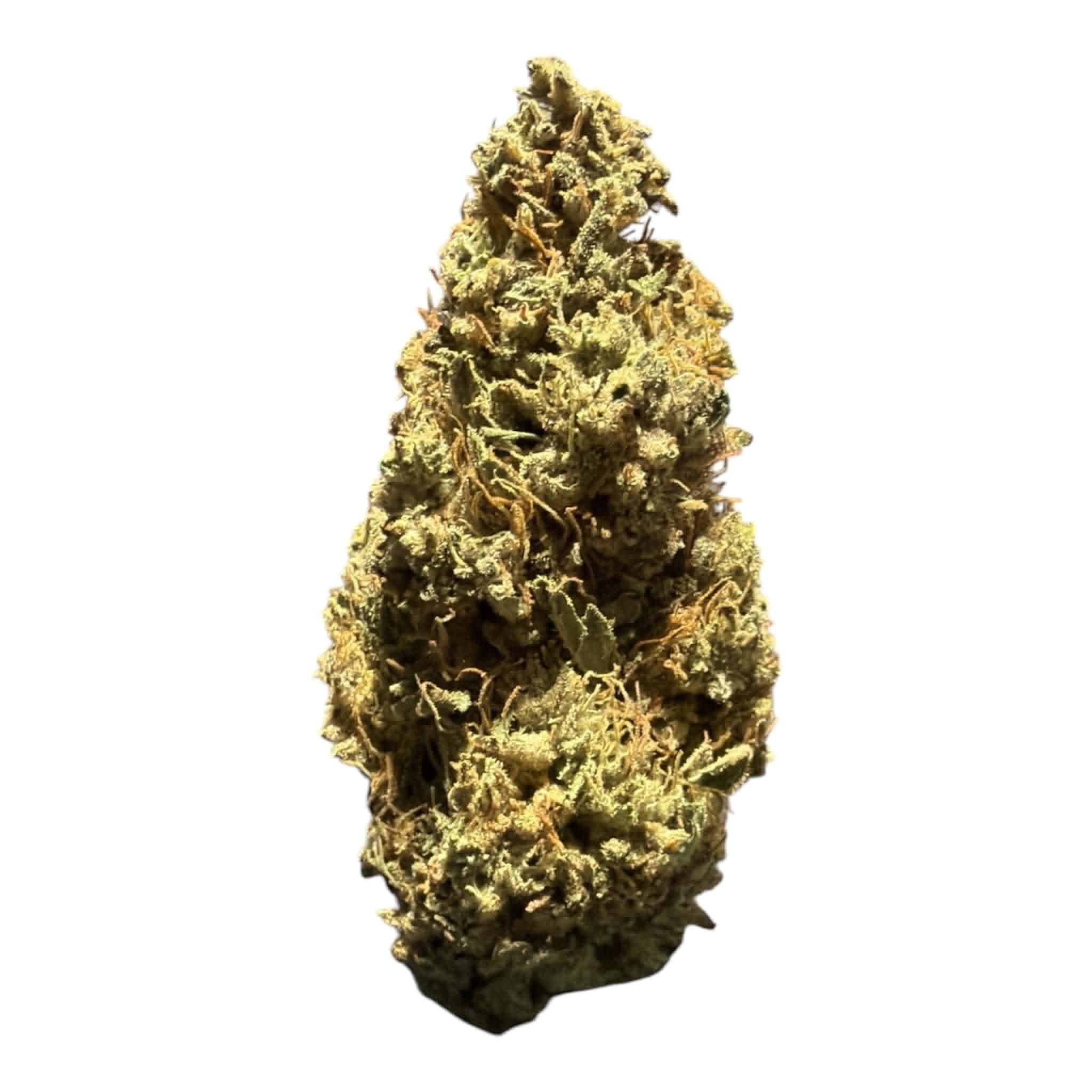 Sour Cheese