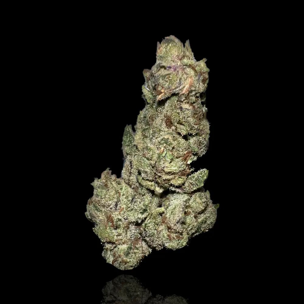 Limoncello Haze THCA Flower 3.5g – Yaga Farms
