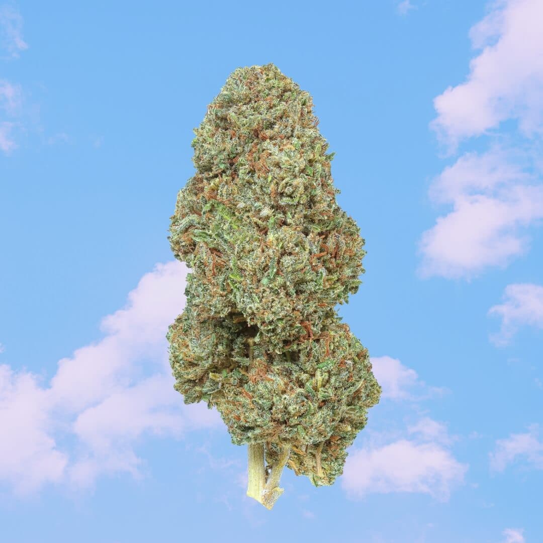 Lifter CBD Hemp Flower