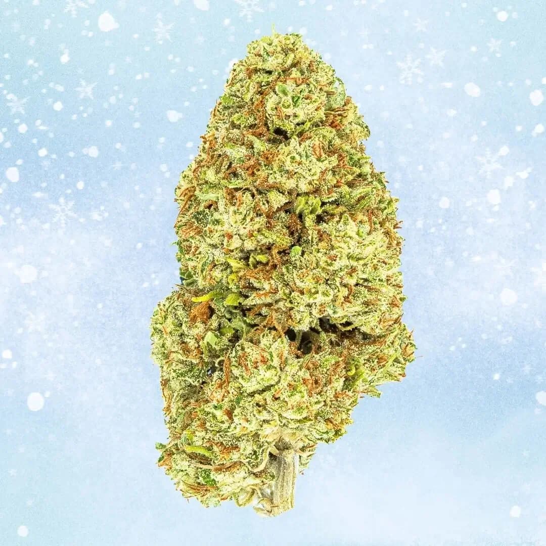 White CBG Hemp Flower