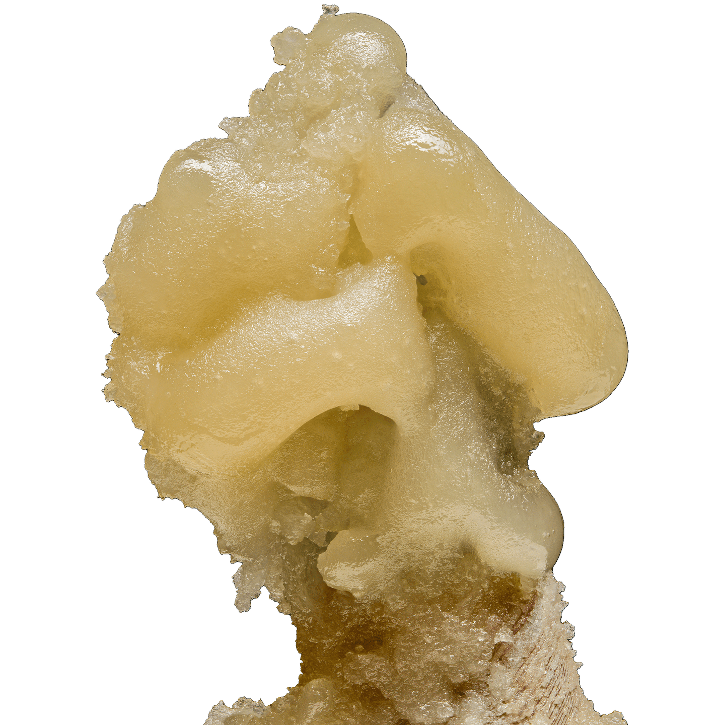Ronin Live Hash Rosin