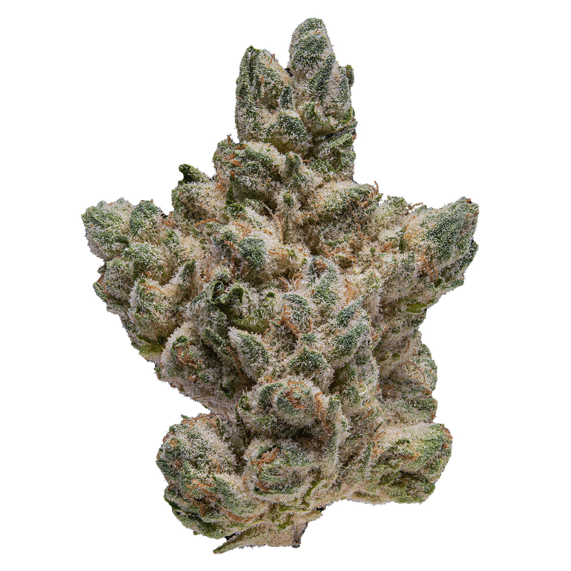 Signature Indoor Flower | 14g