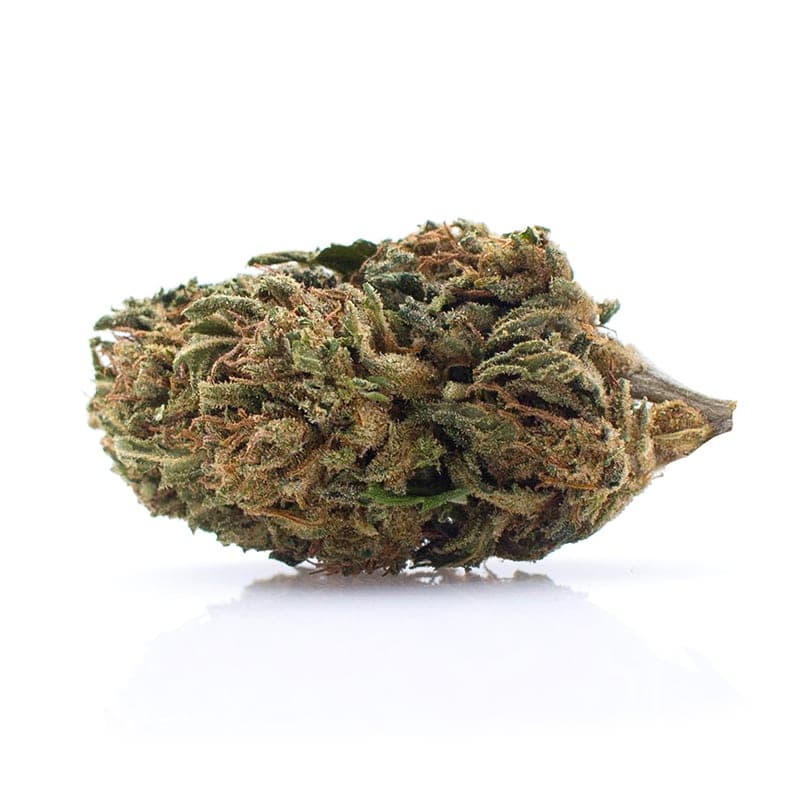Special Sauce CBD Hemp Flower
