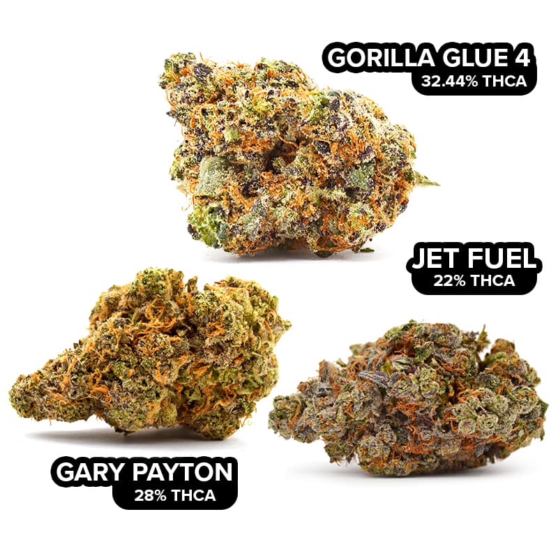 THCA Flower Bundle – 3 Strains