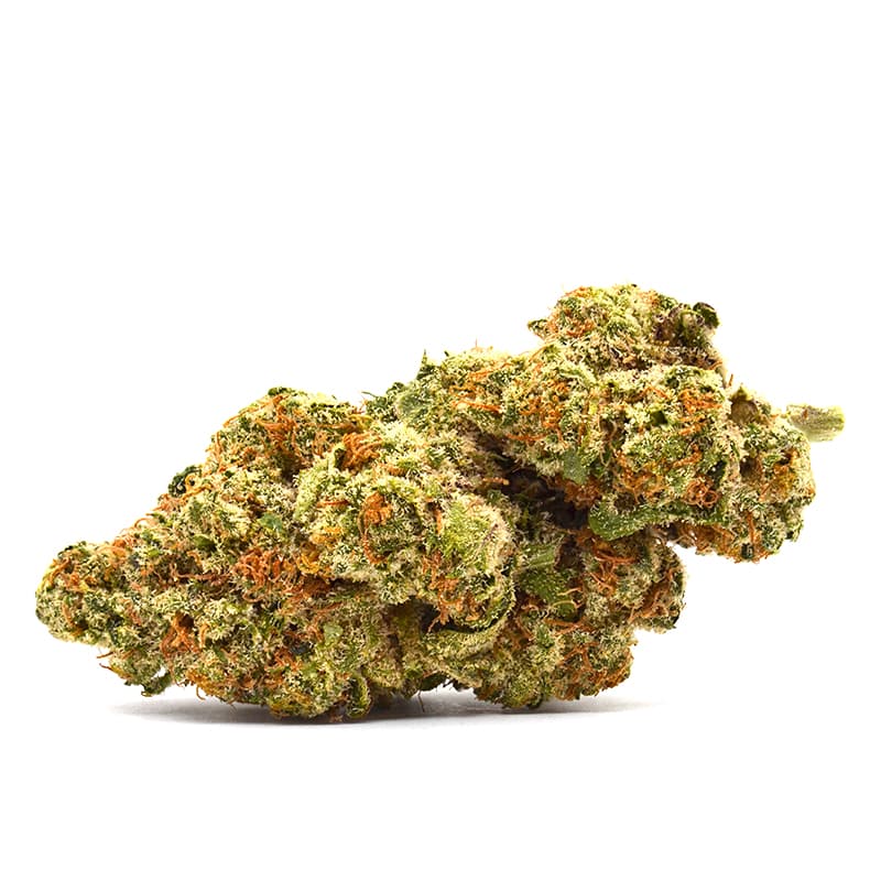 Black Jack Strain THCA Flower (Indica)