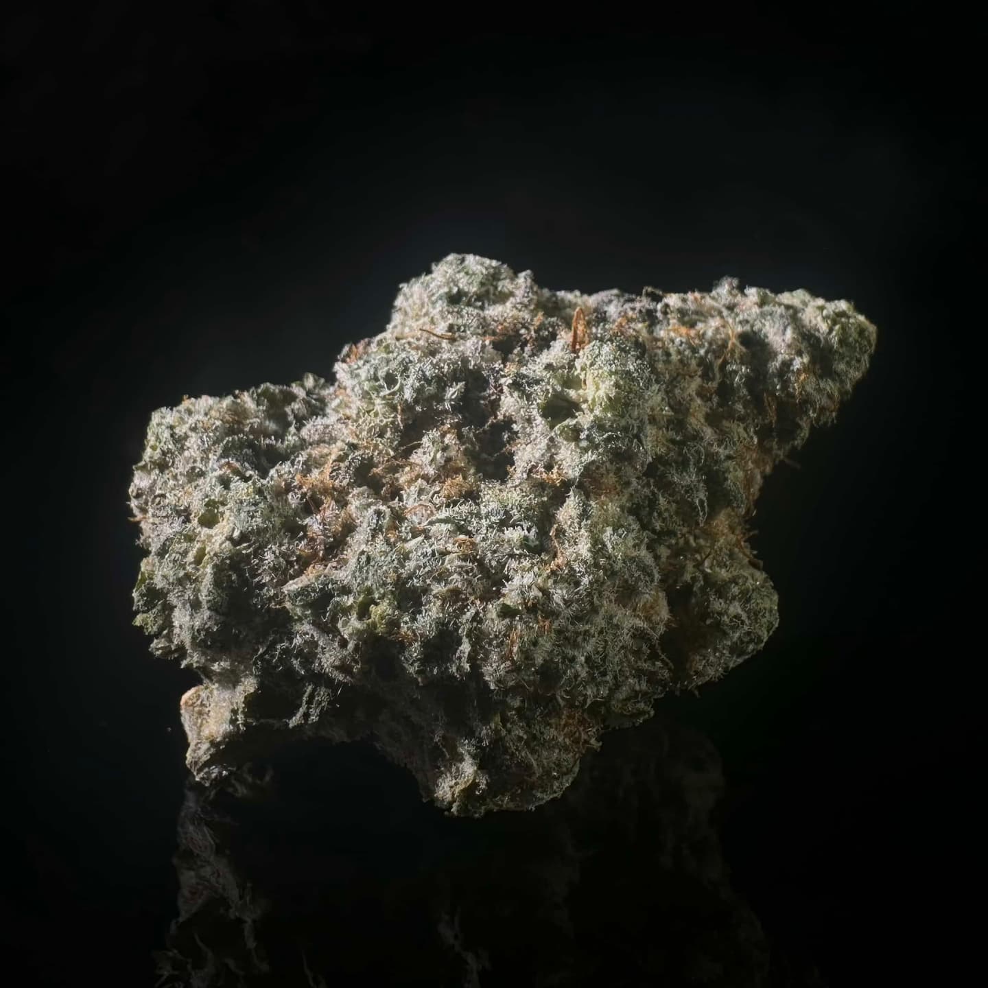 Lemon Pound Cake – Cured THCA Flower 26.82% – PhytoFamily Farms Grown **GOLD SHELF**