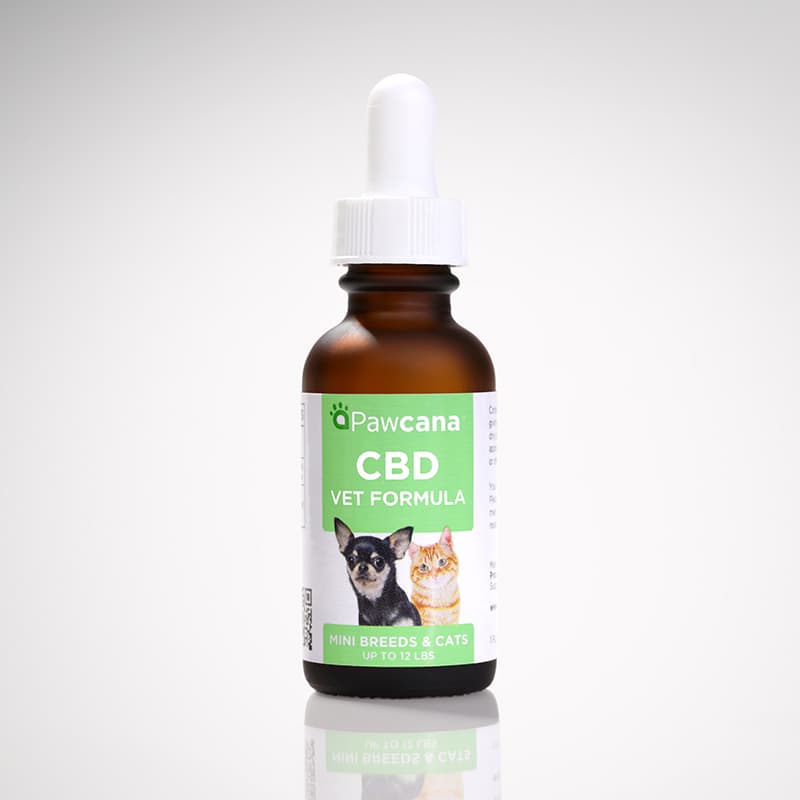 CBD For Dogs & Cats (Mini Breed) Tincture