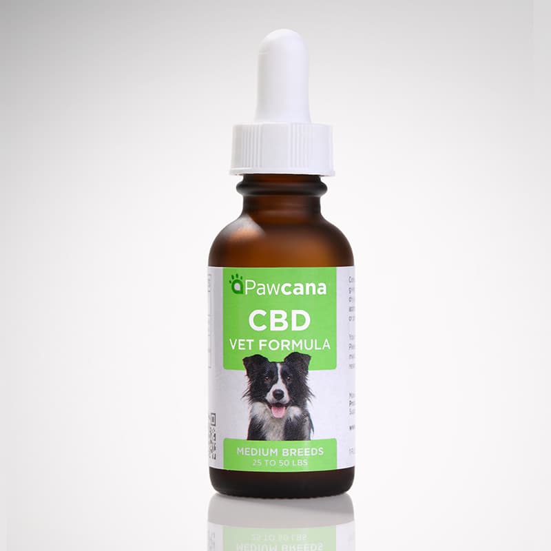 CBD For Dogs (Medium Breed) Tincture