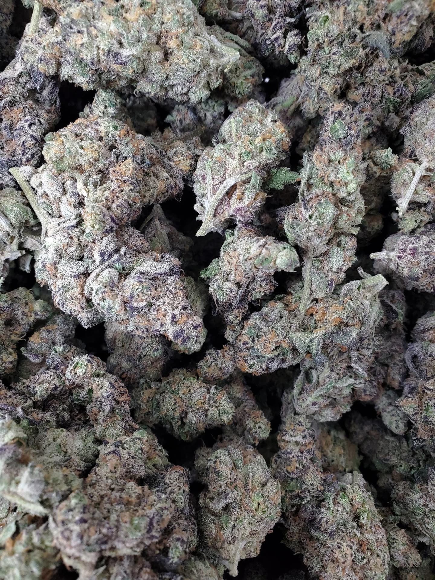 Garlic Runtz THCa Hemp Flower