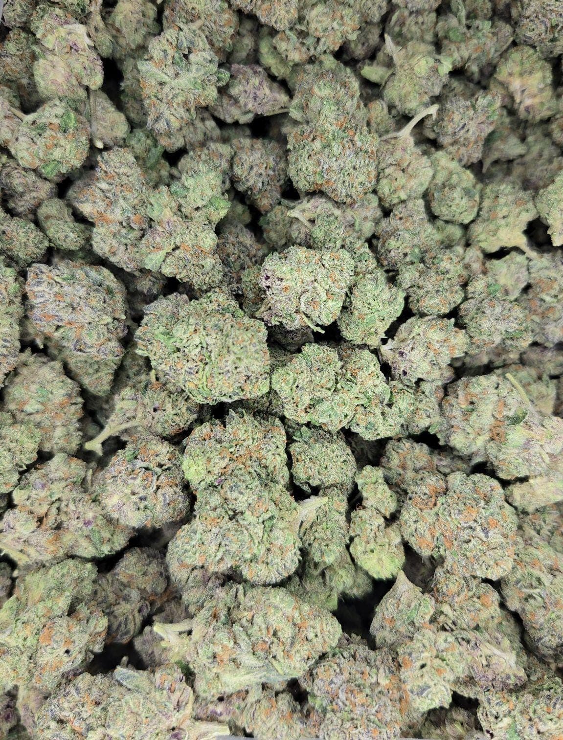 Gumbo THCa Hemp Flower