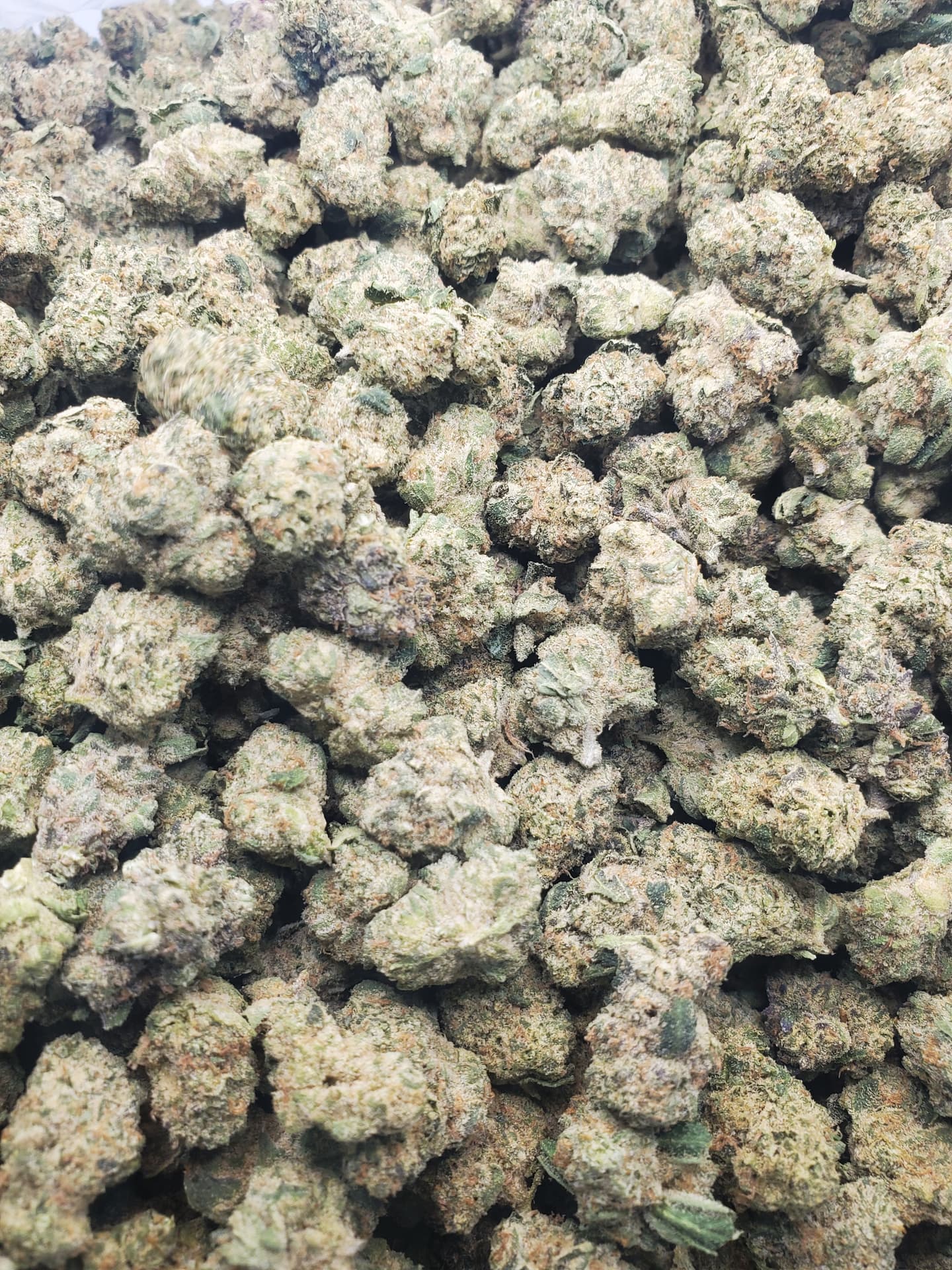 SherbHead THCa Hemp Flower