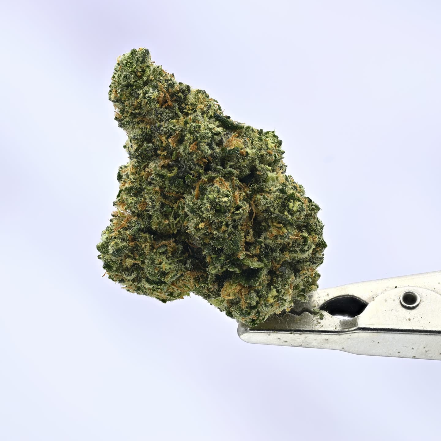 Mixed Light Preferred Gardens – Durban Poison – 7g