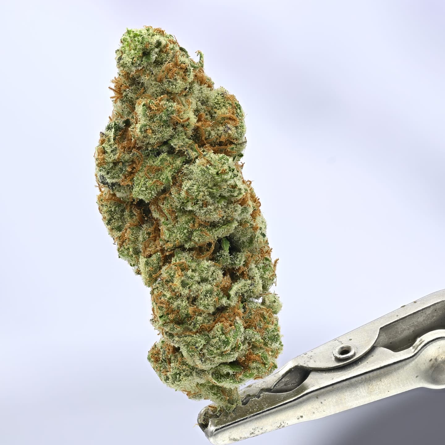 Prism Blast – 3.5g