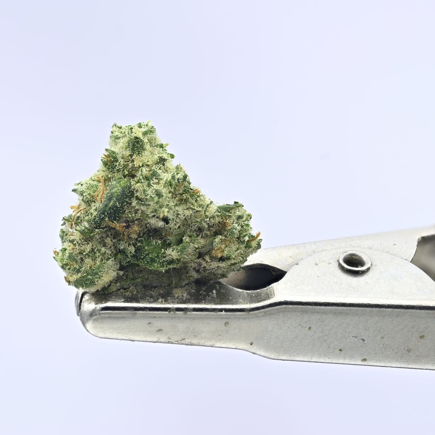 Sour Animal Smalls – 14g