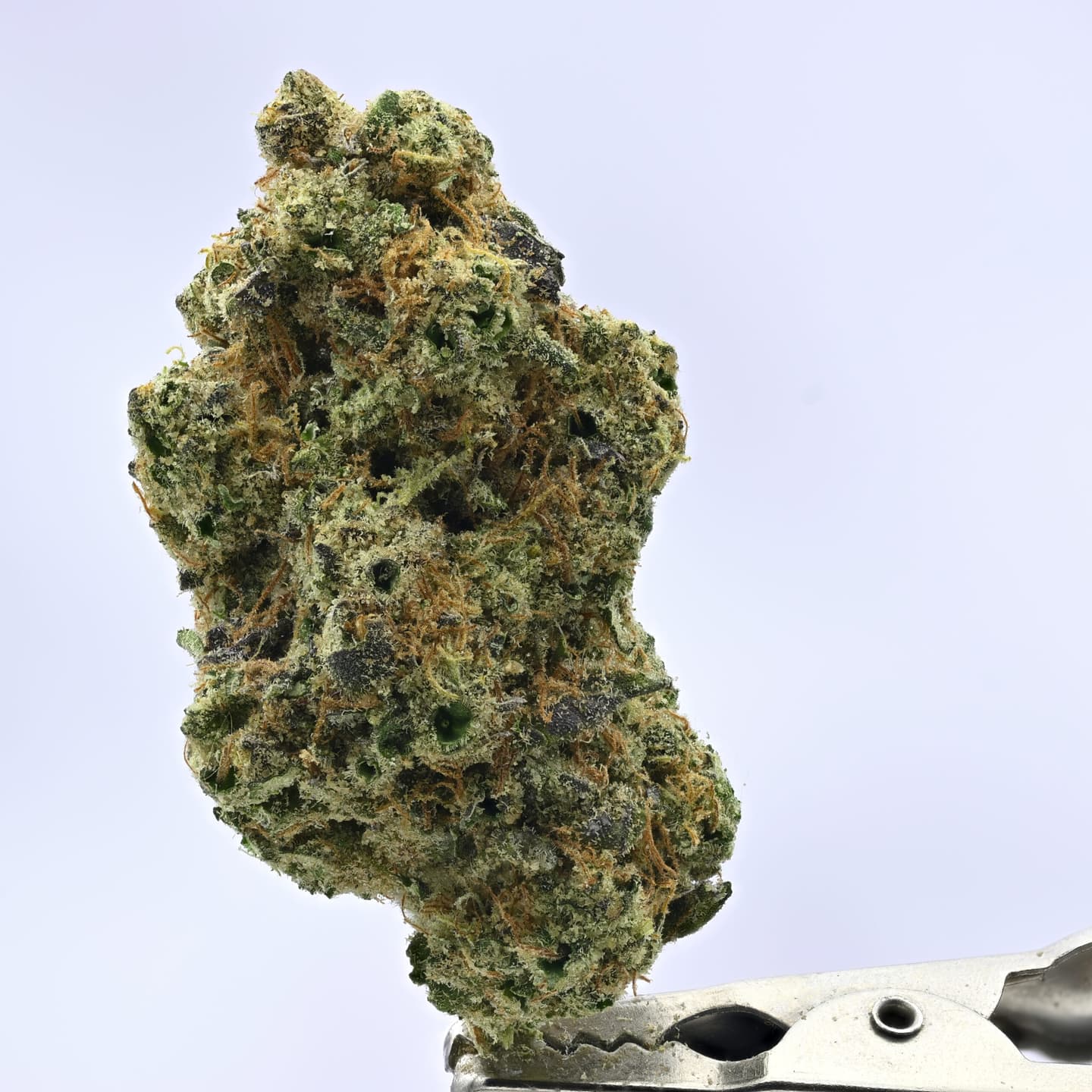 Doja – Lime Sickle – 14g
