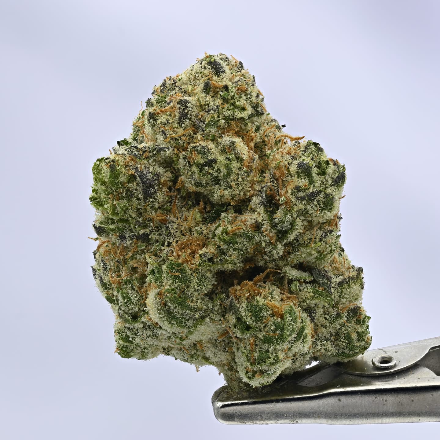Melonade – 3.5g