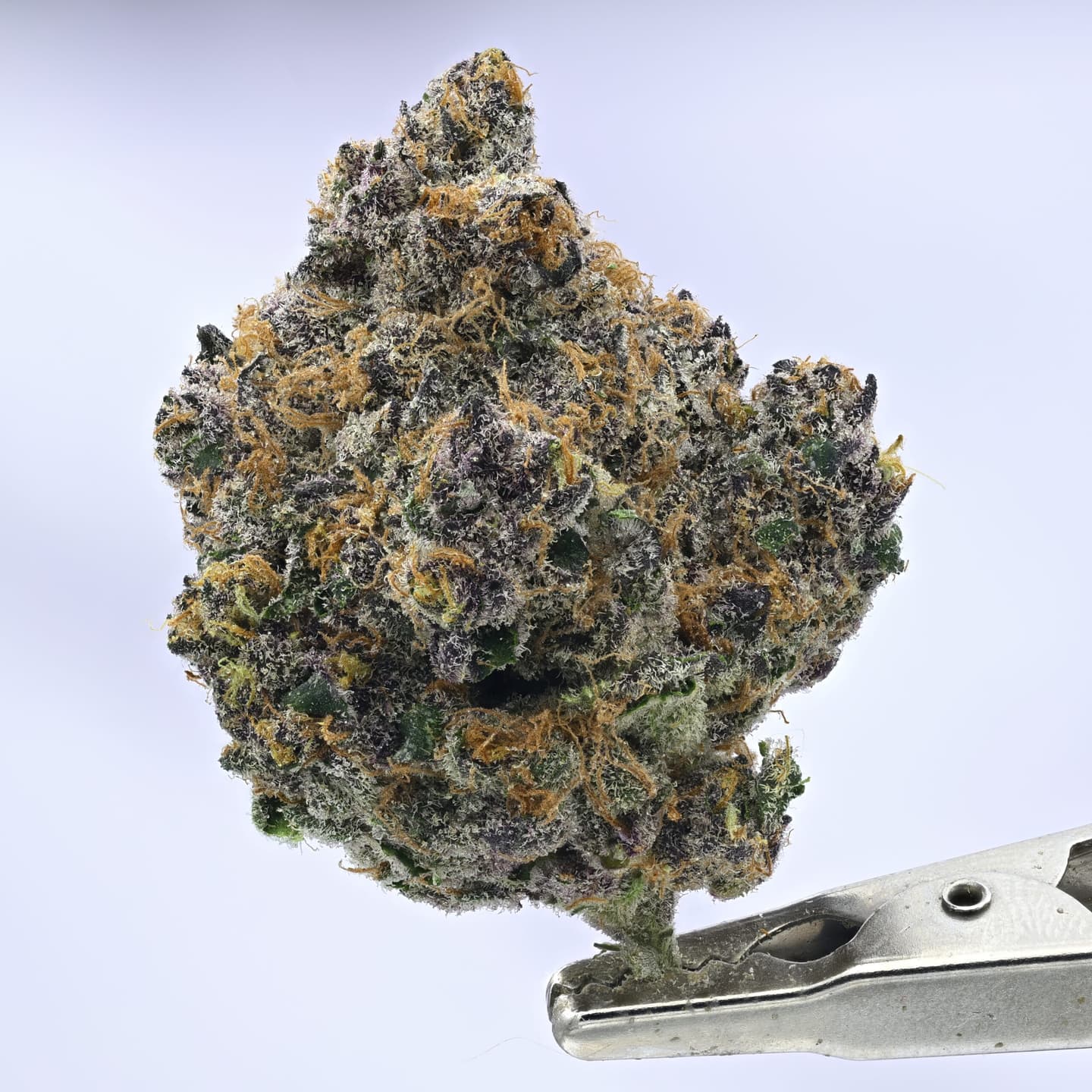 Small Batch – Super Boof – 3.5g