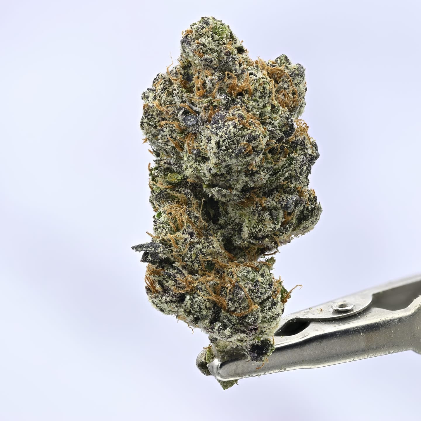 365 Canna Farm – Vader – 14g