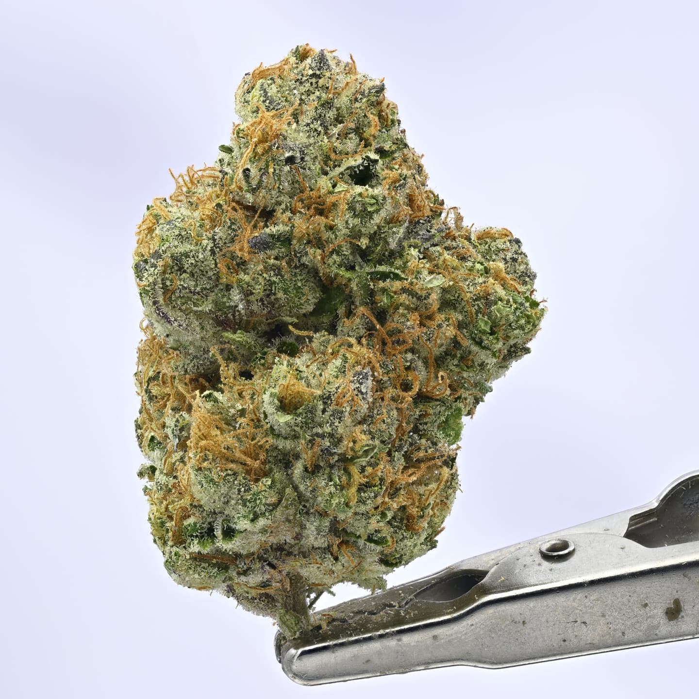 Wedding Cake – 3.5g