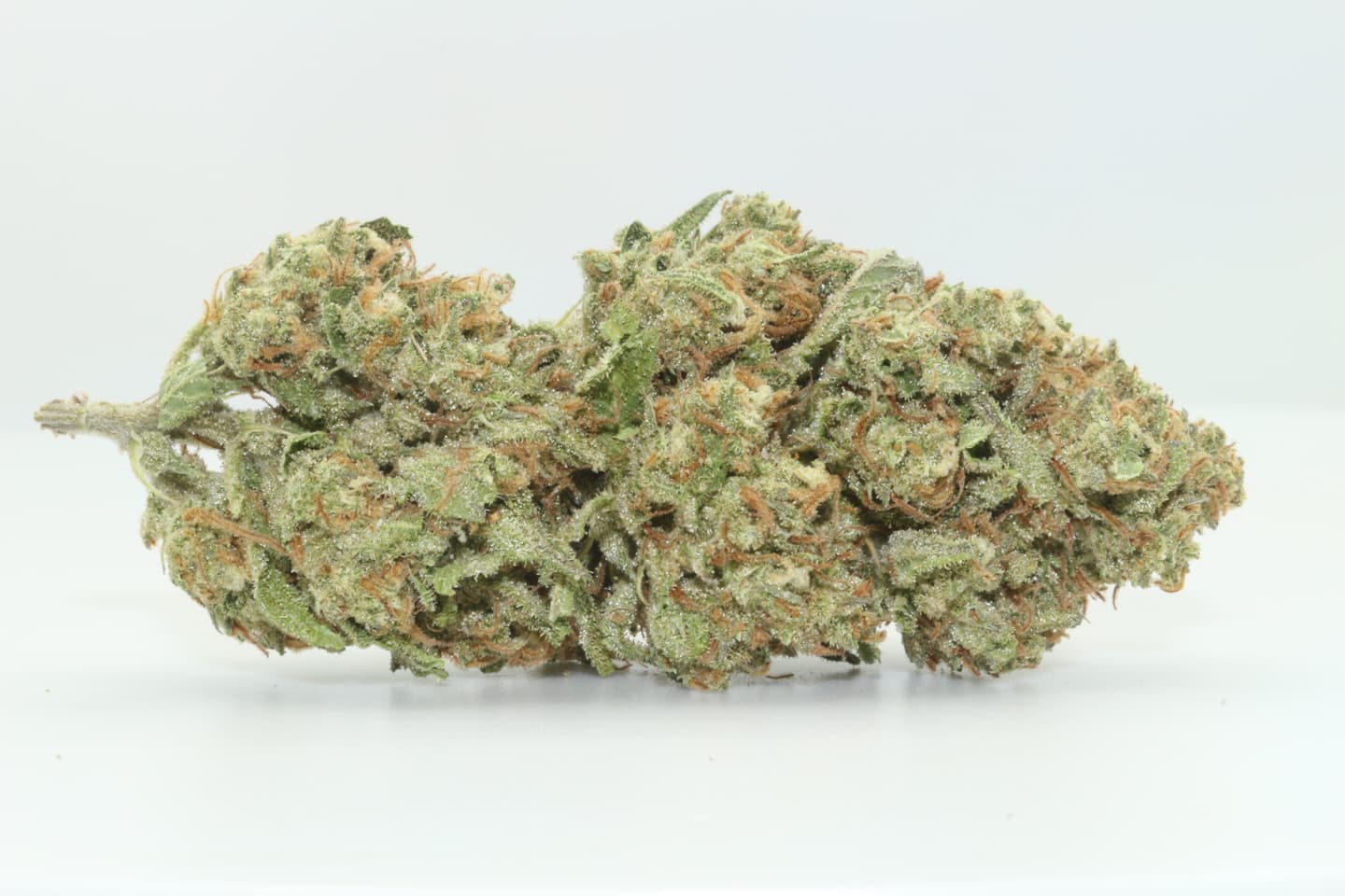 Sour Jack