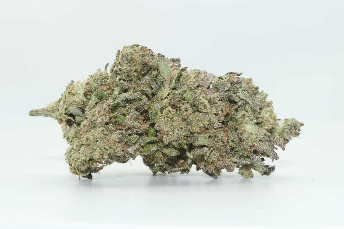 Tropicana Cookies