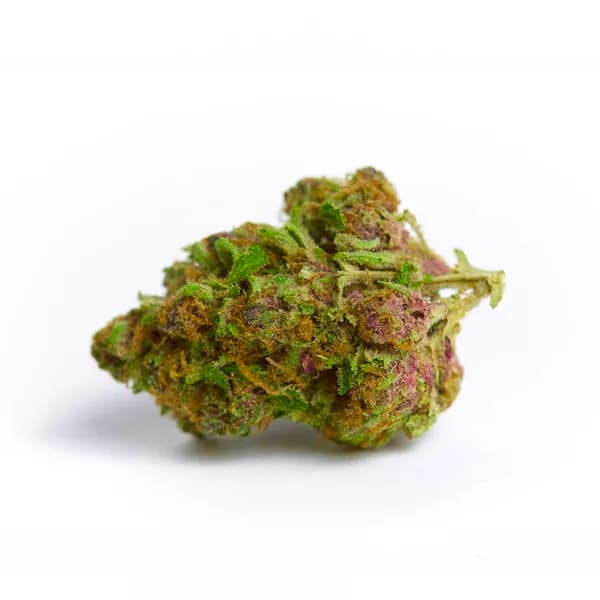 Lemon Tree Strain, 24.4% THCa Flower