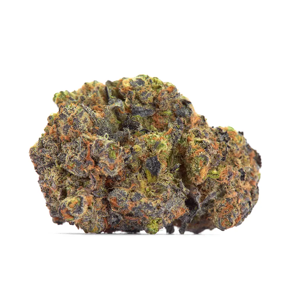 Black Dolphin Strain, 29.1% THCa Flower