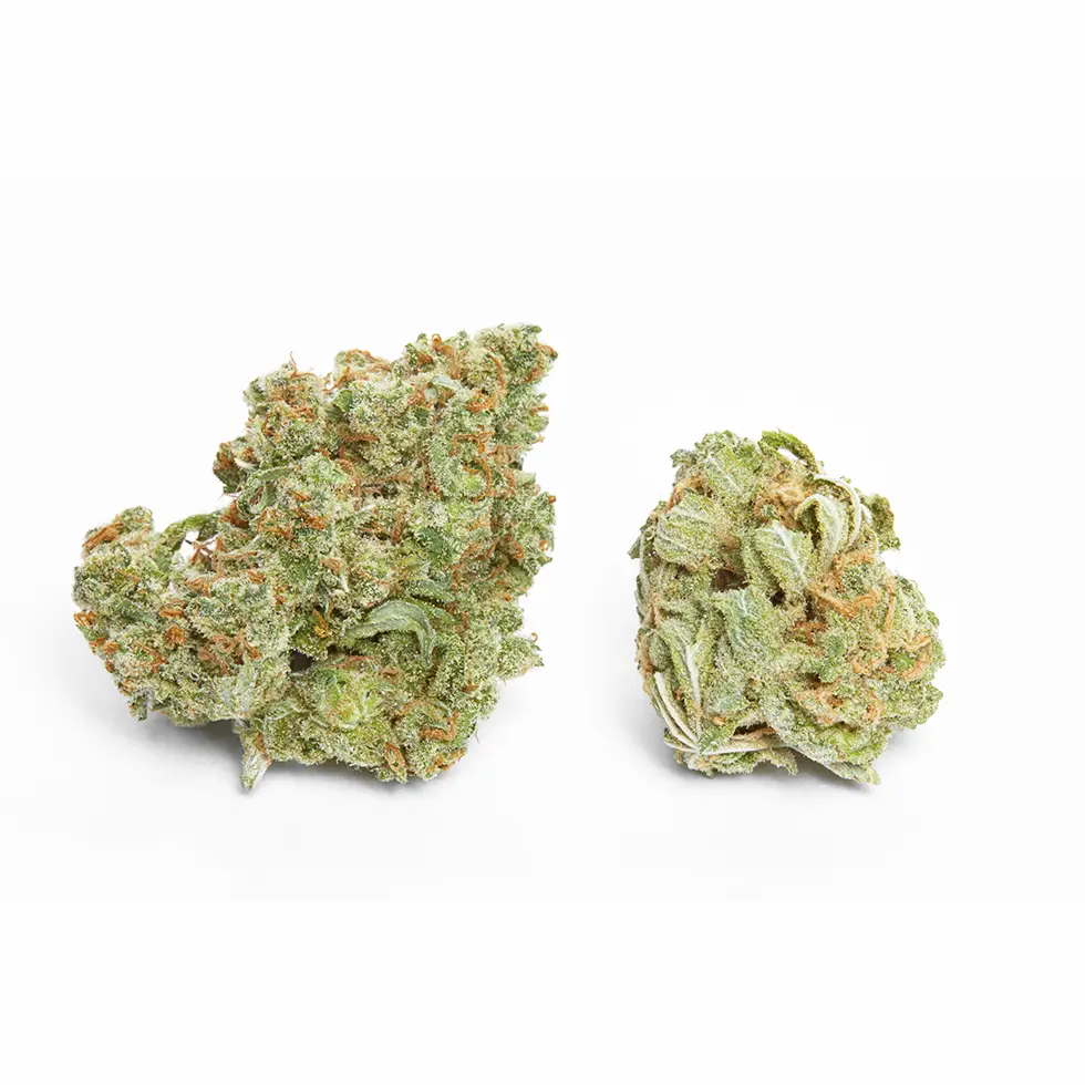 Planet Bang Bang Strain, 26.6% THCa Flower